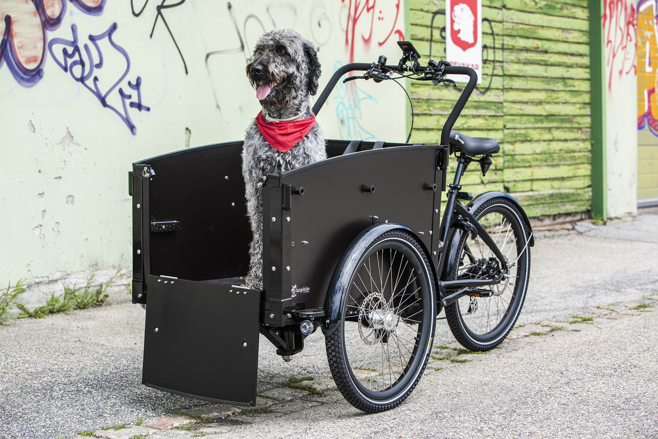 dog cargo bike